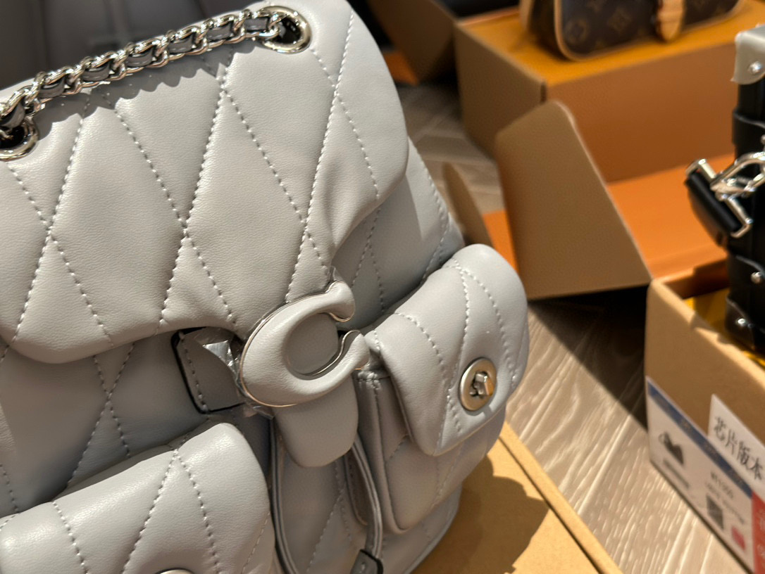 Coach versatile backpack