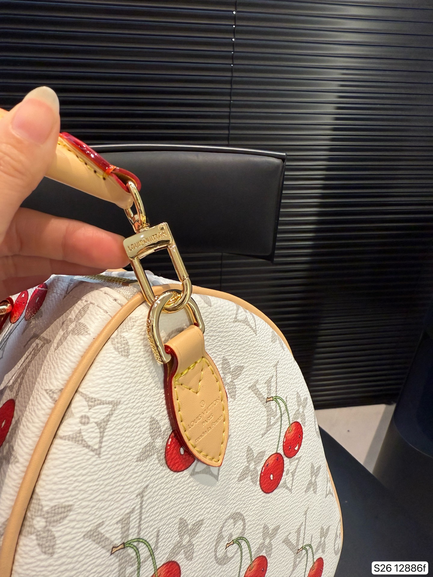 LV Cherry Pillow Bag