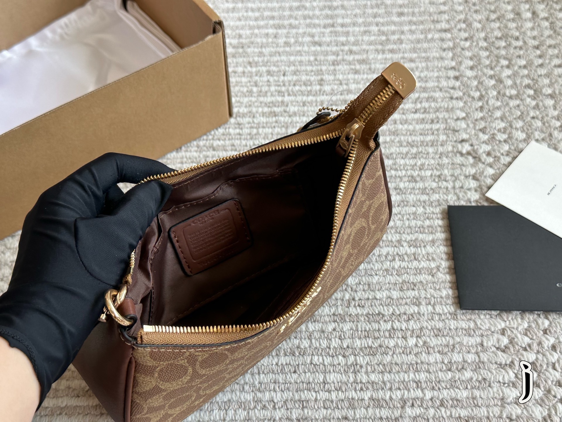 Coach Teri Underarm Bag