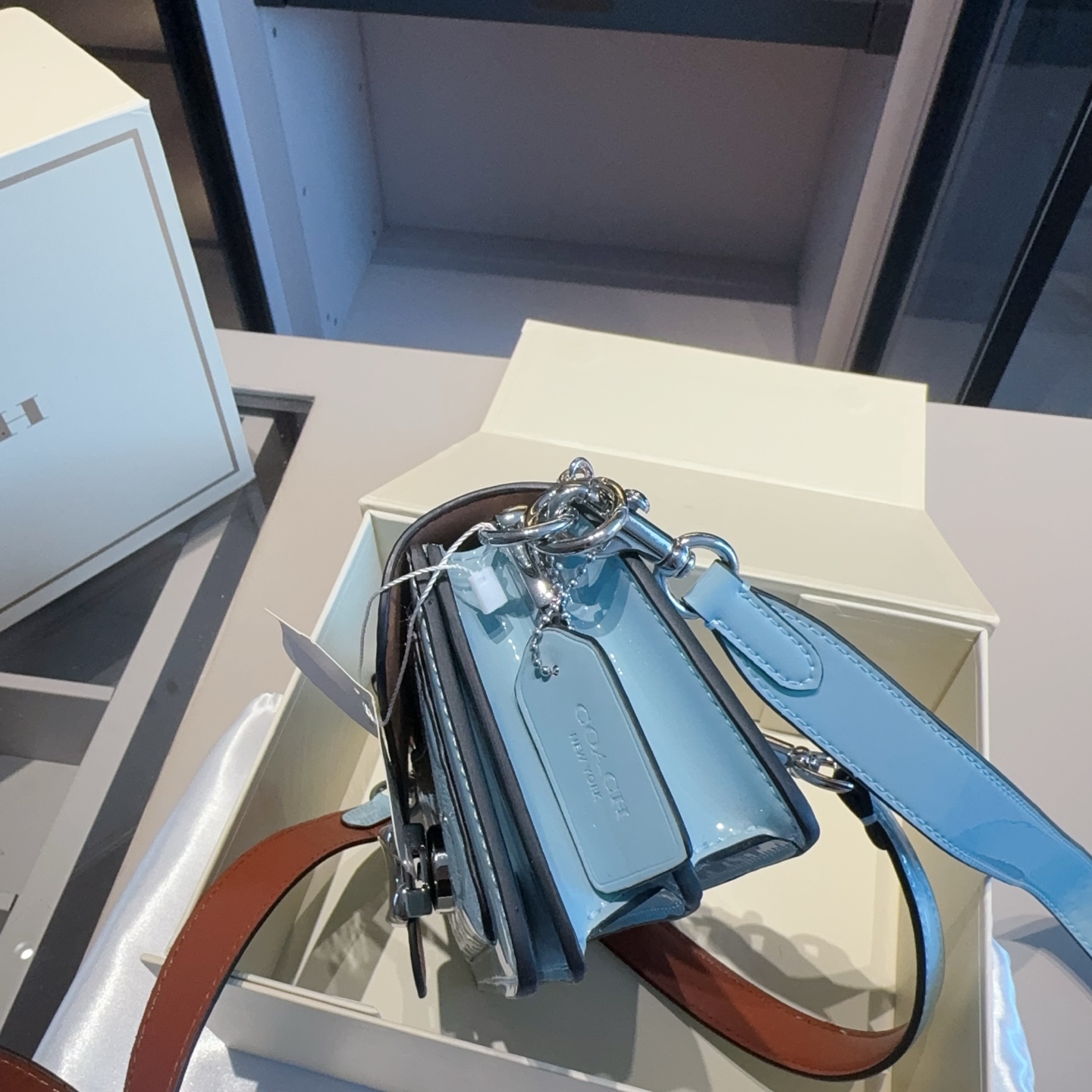 Coach's new patent leather embossed Dionysus bag tall version