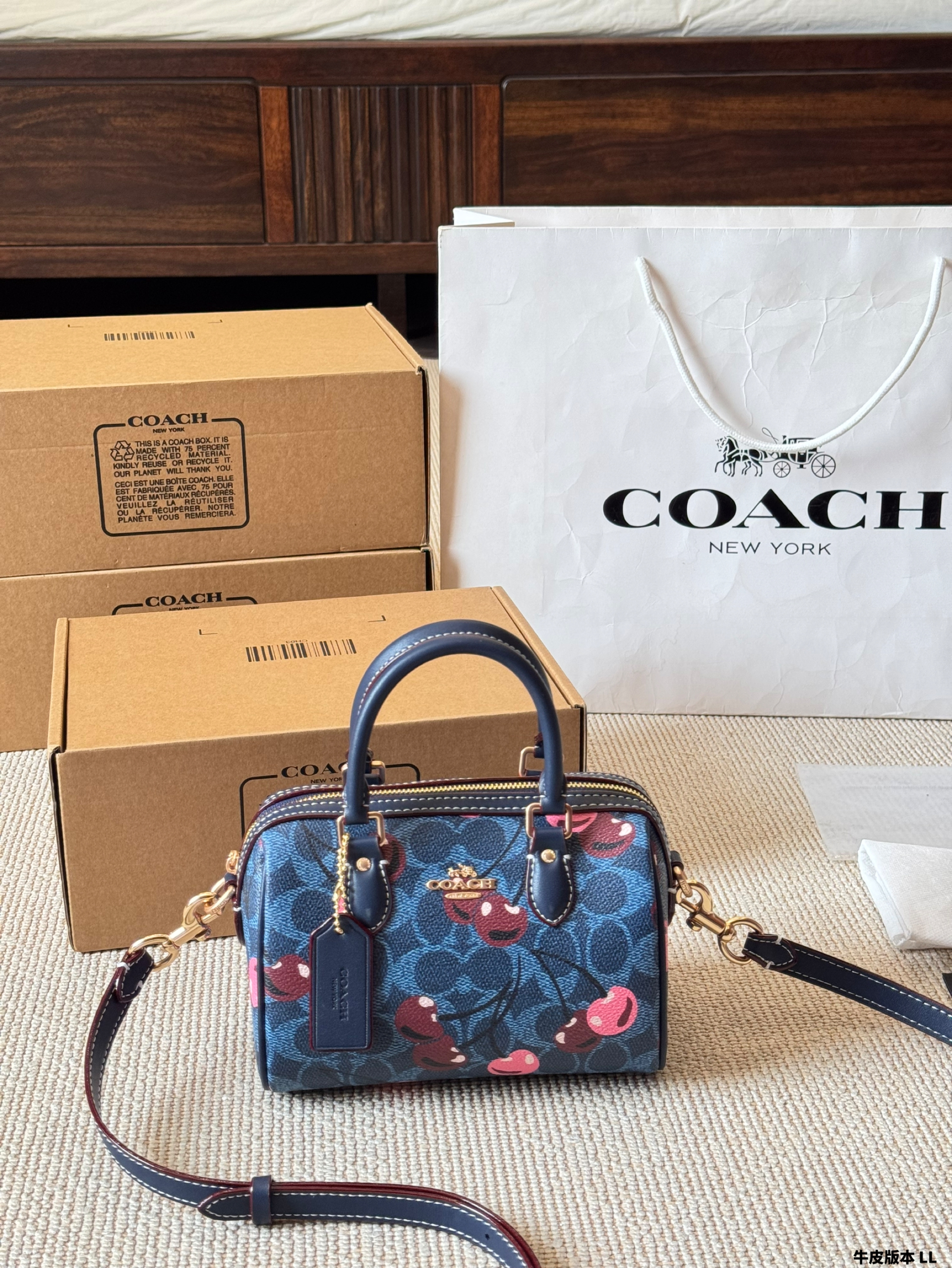 Coach miniRowan pillow bag