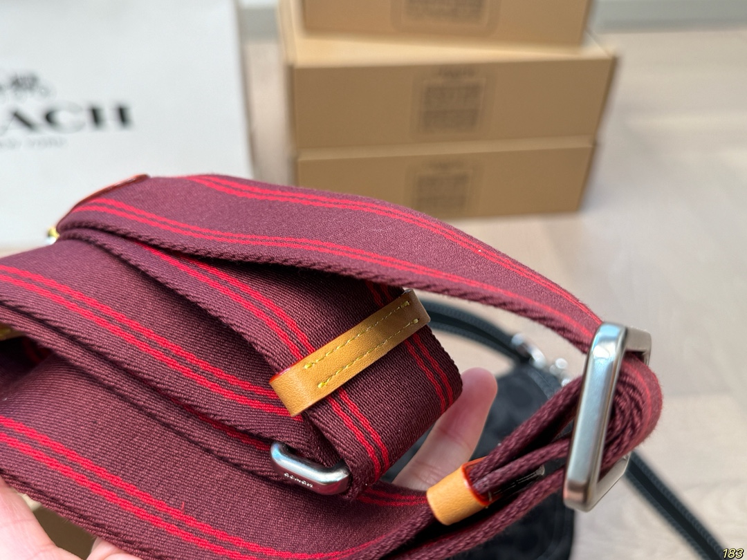 Coach Chambre underarm bag