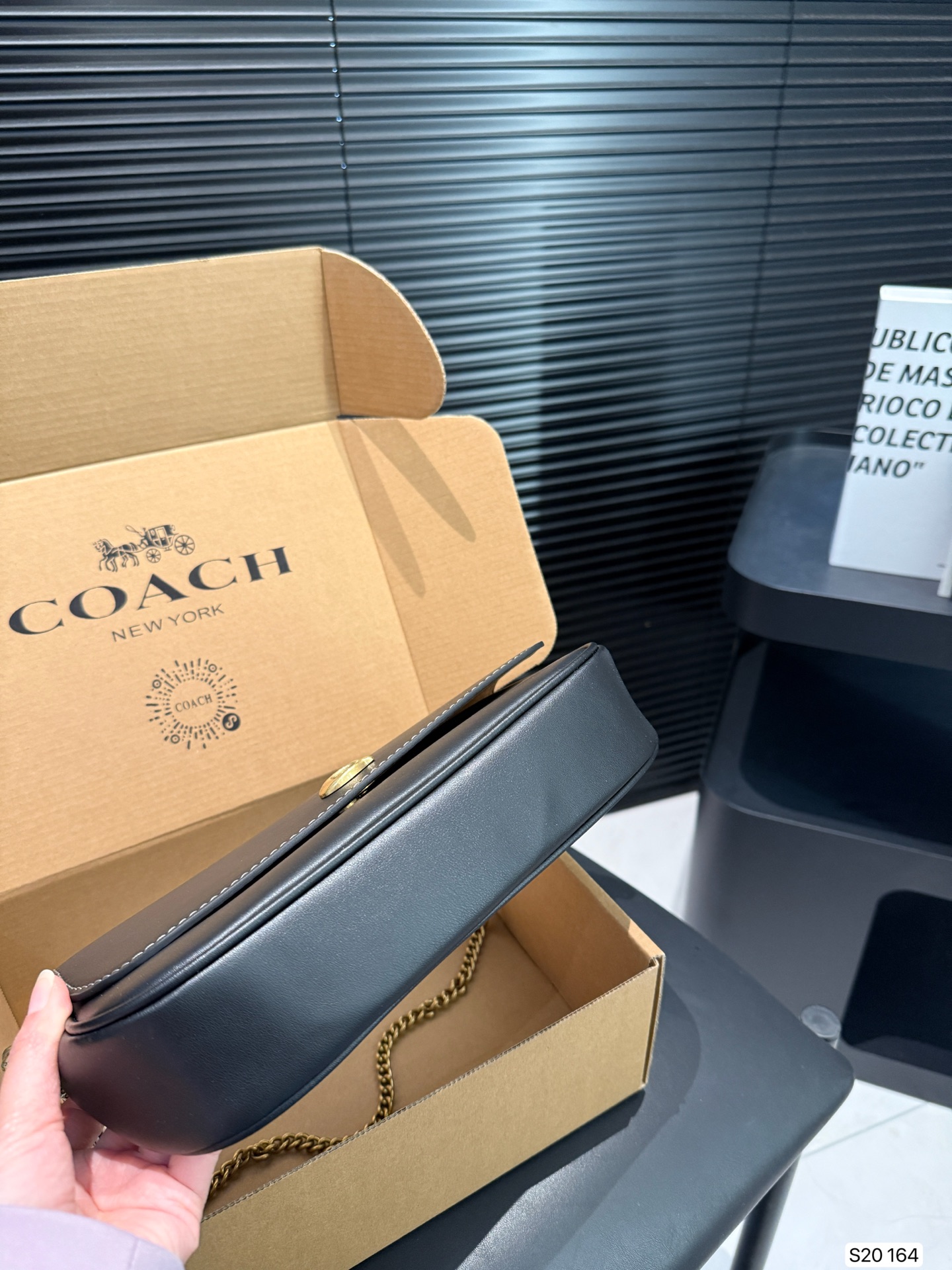 Coach Brook Baguette Bag