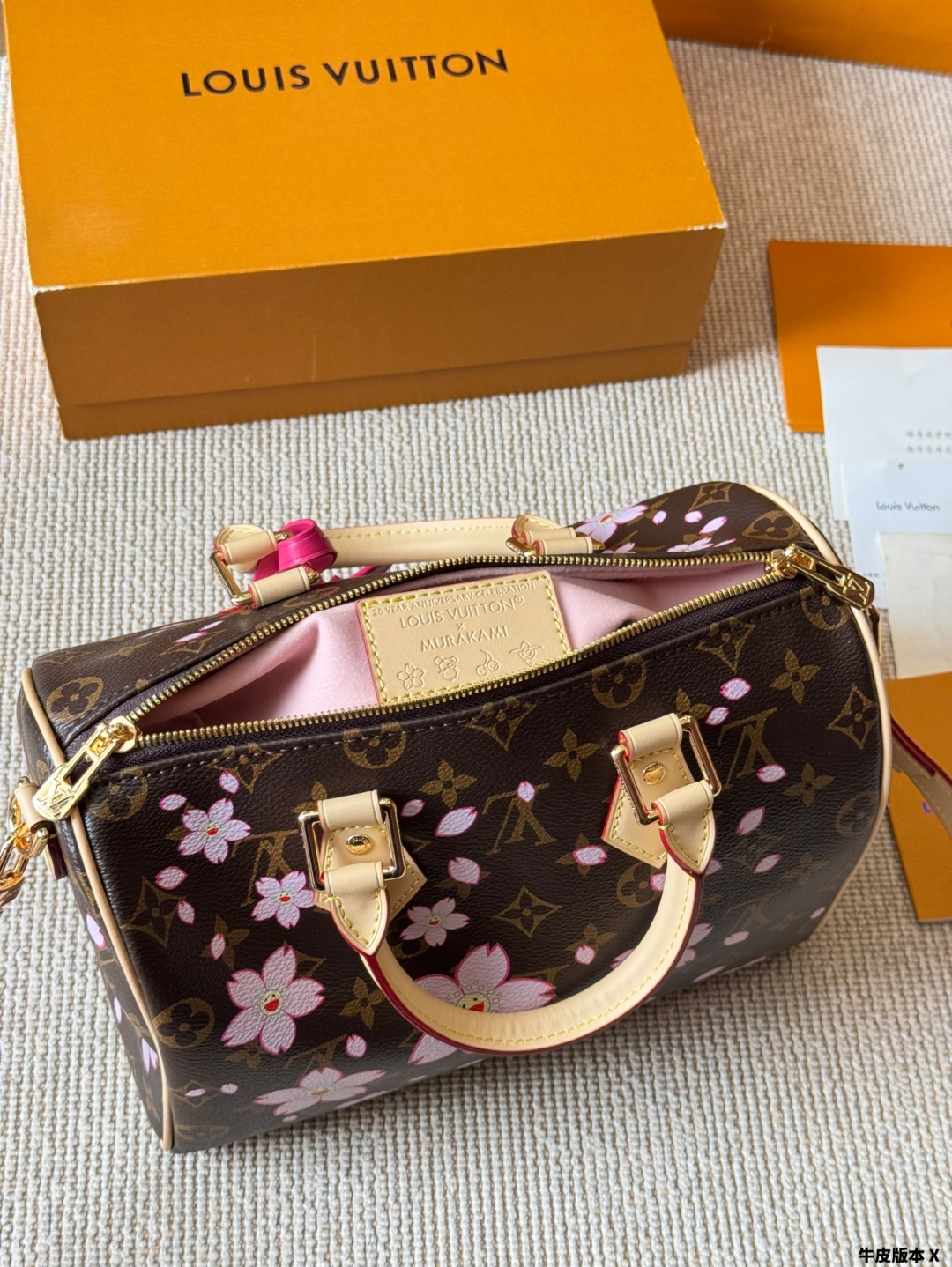 LV Speedy Pillow Bag