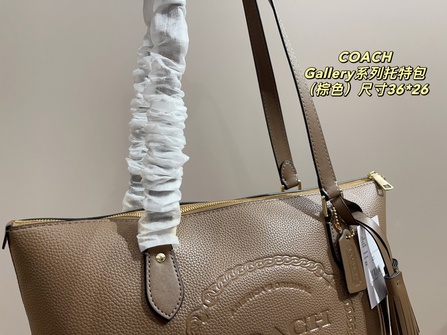 Coach Gallery Series Tote Bag