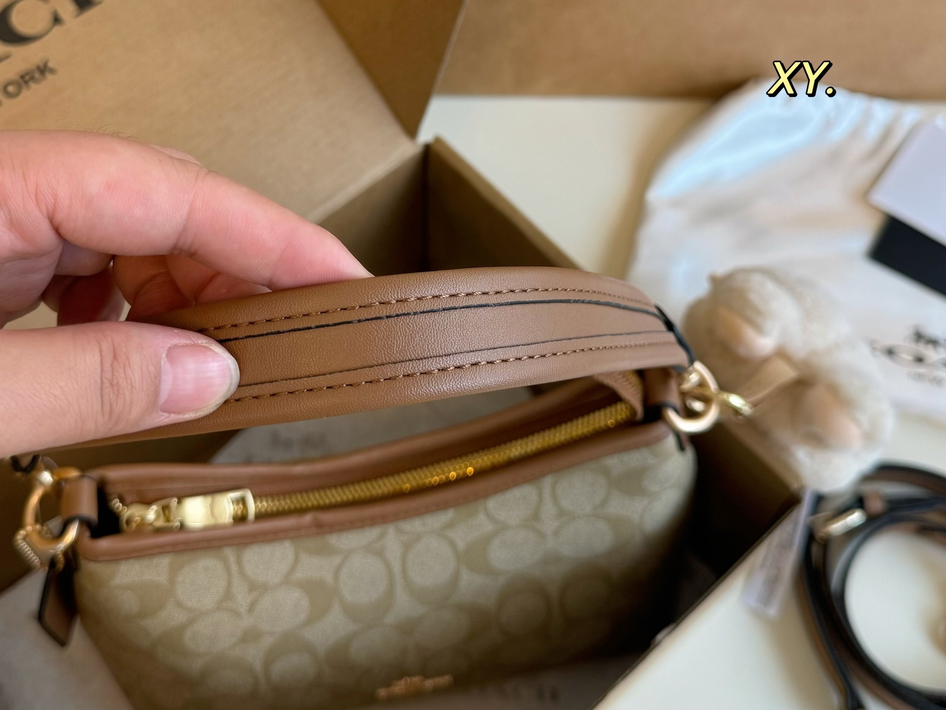 Coach mini Laurel Hobo Bag