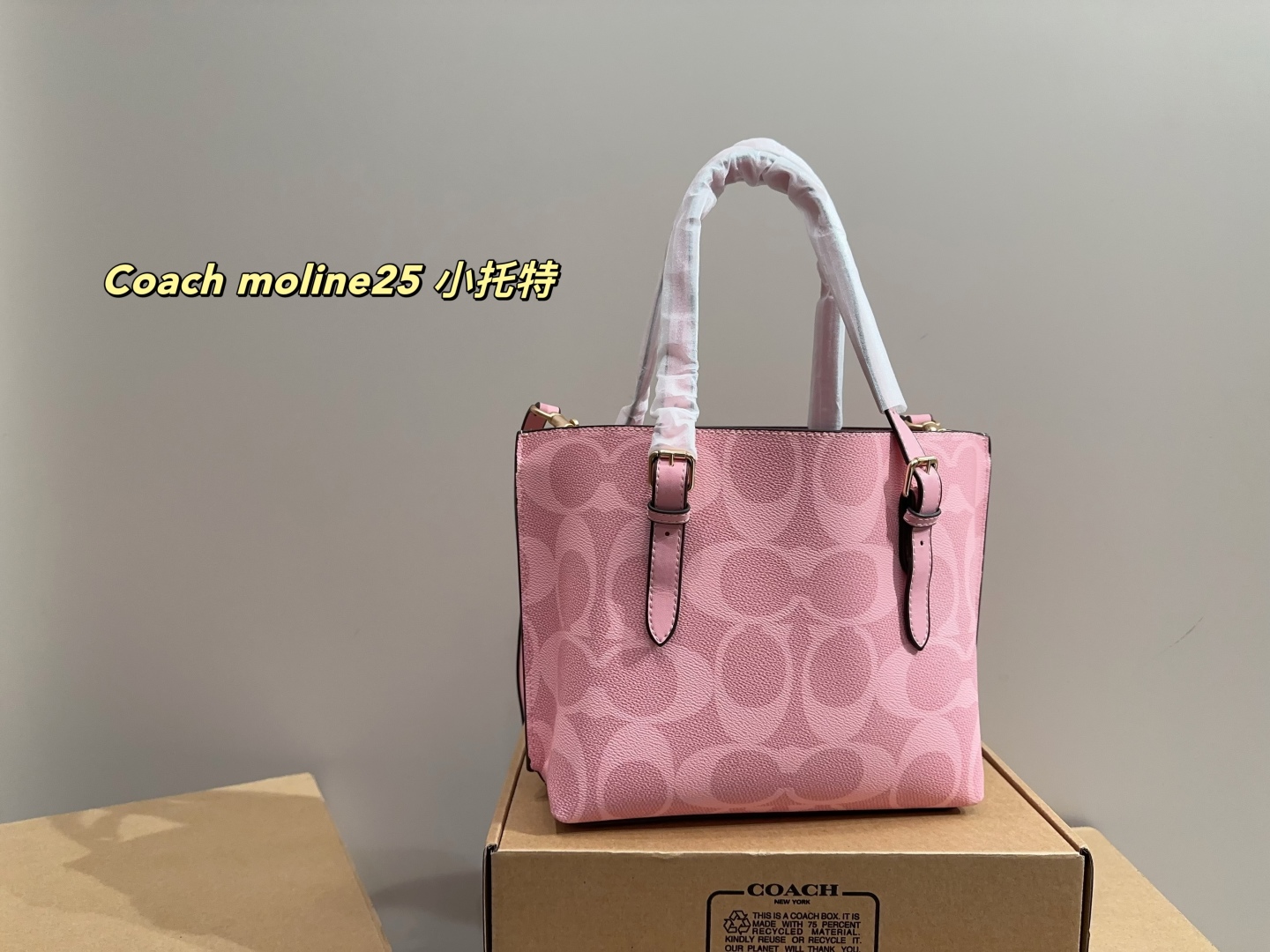 Coach moline25 small tote