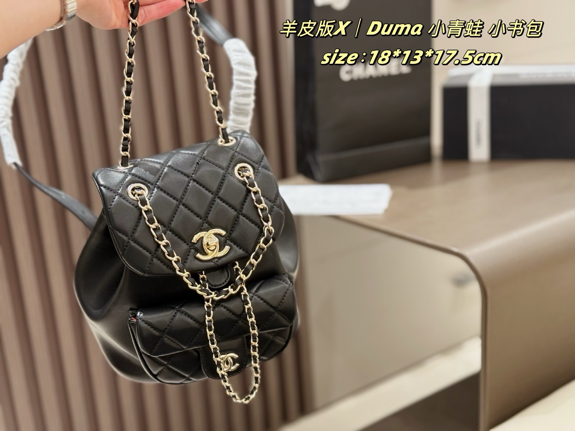 Chanel 22c duma backpack