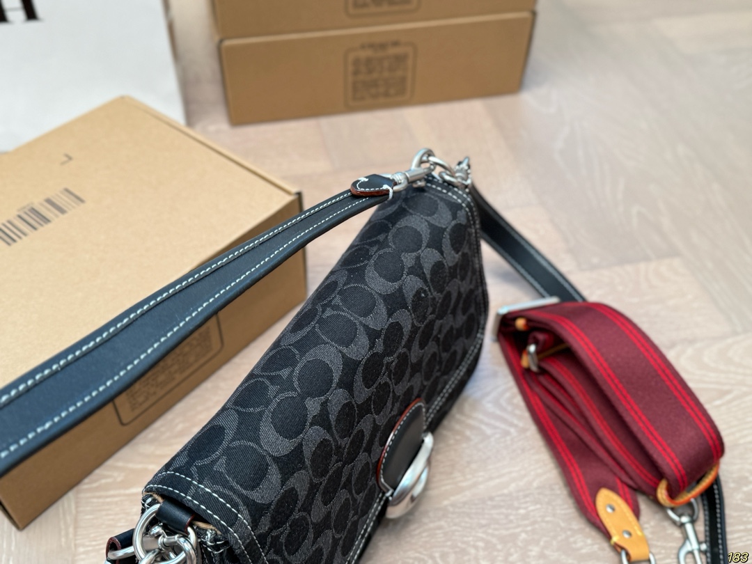 Coach Chambre underarm bag