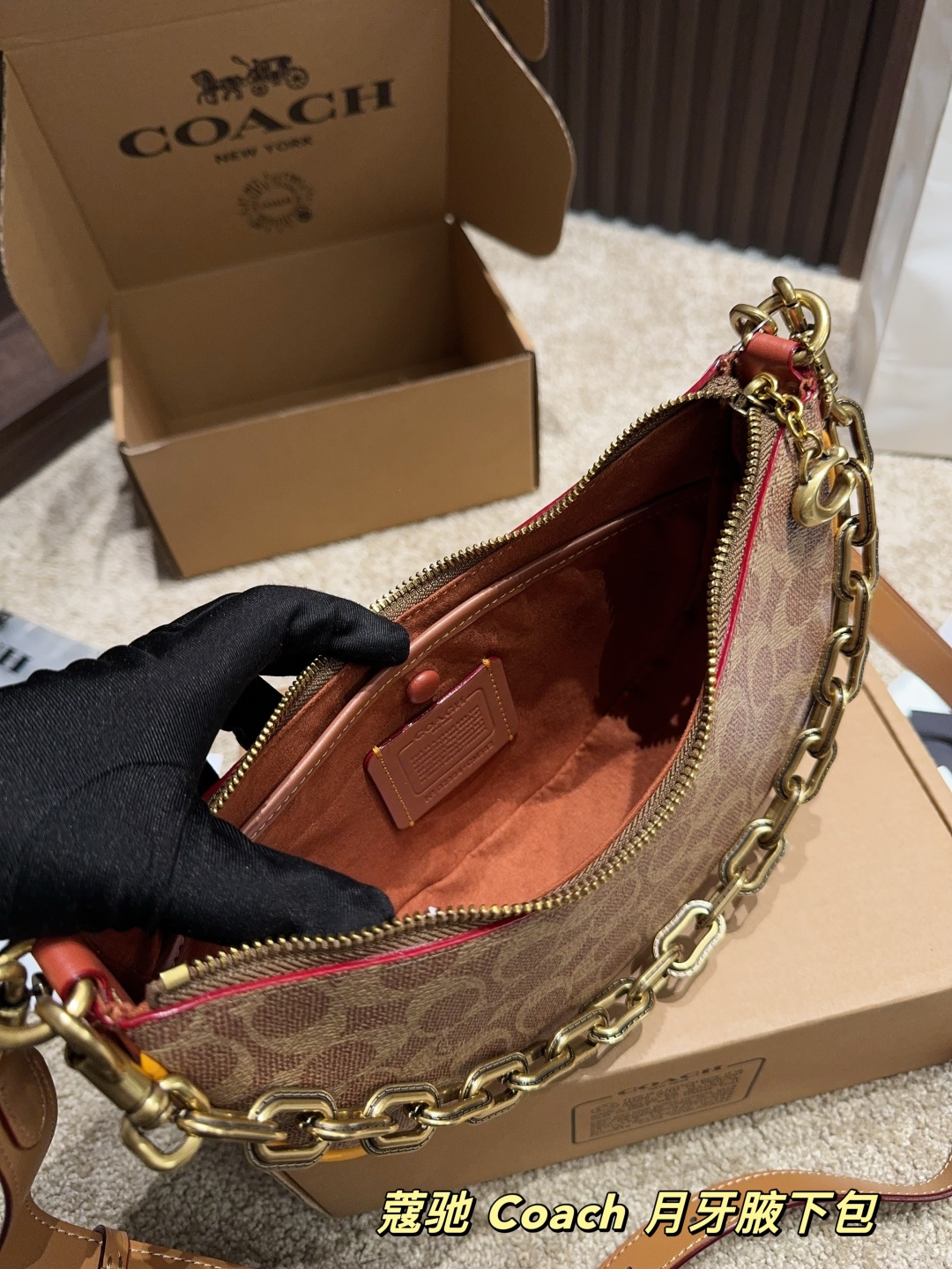 Coach Crescent Underarm Bag