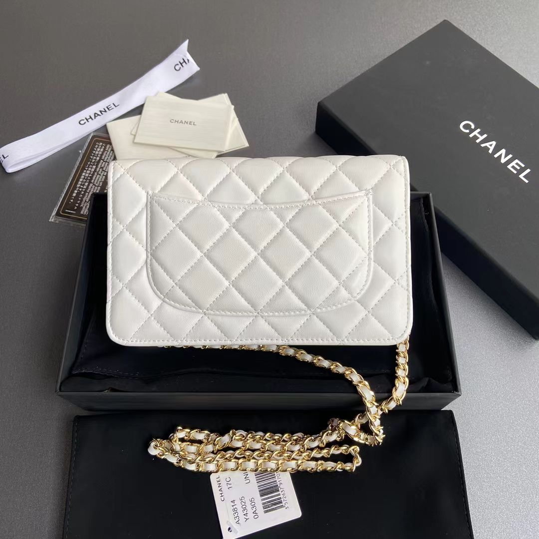 Chanel's high-end version of the money bag