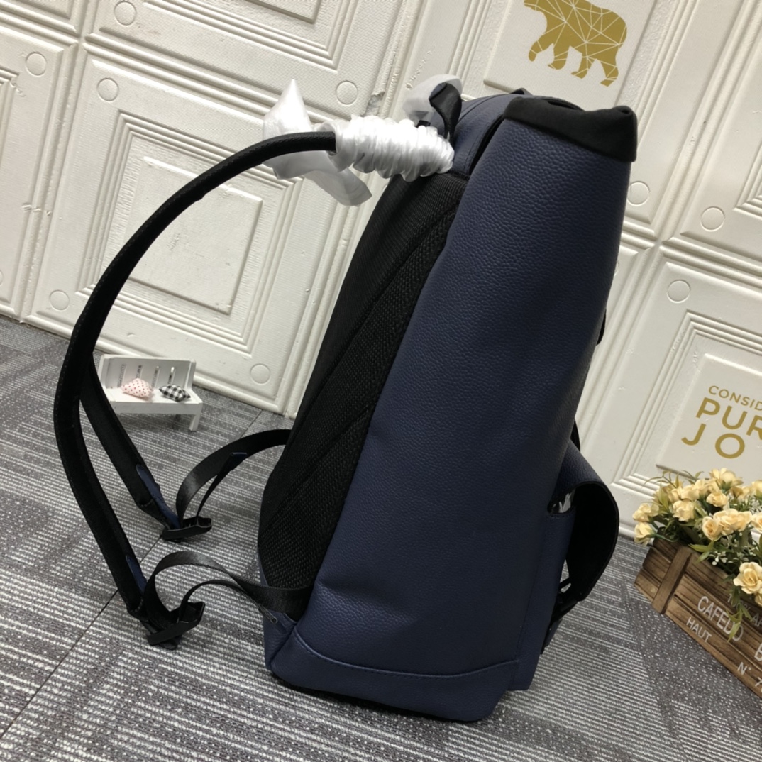 LV Christopher Taurillon shoulder backpack bag