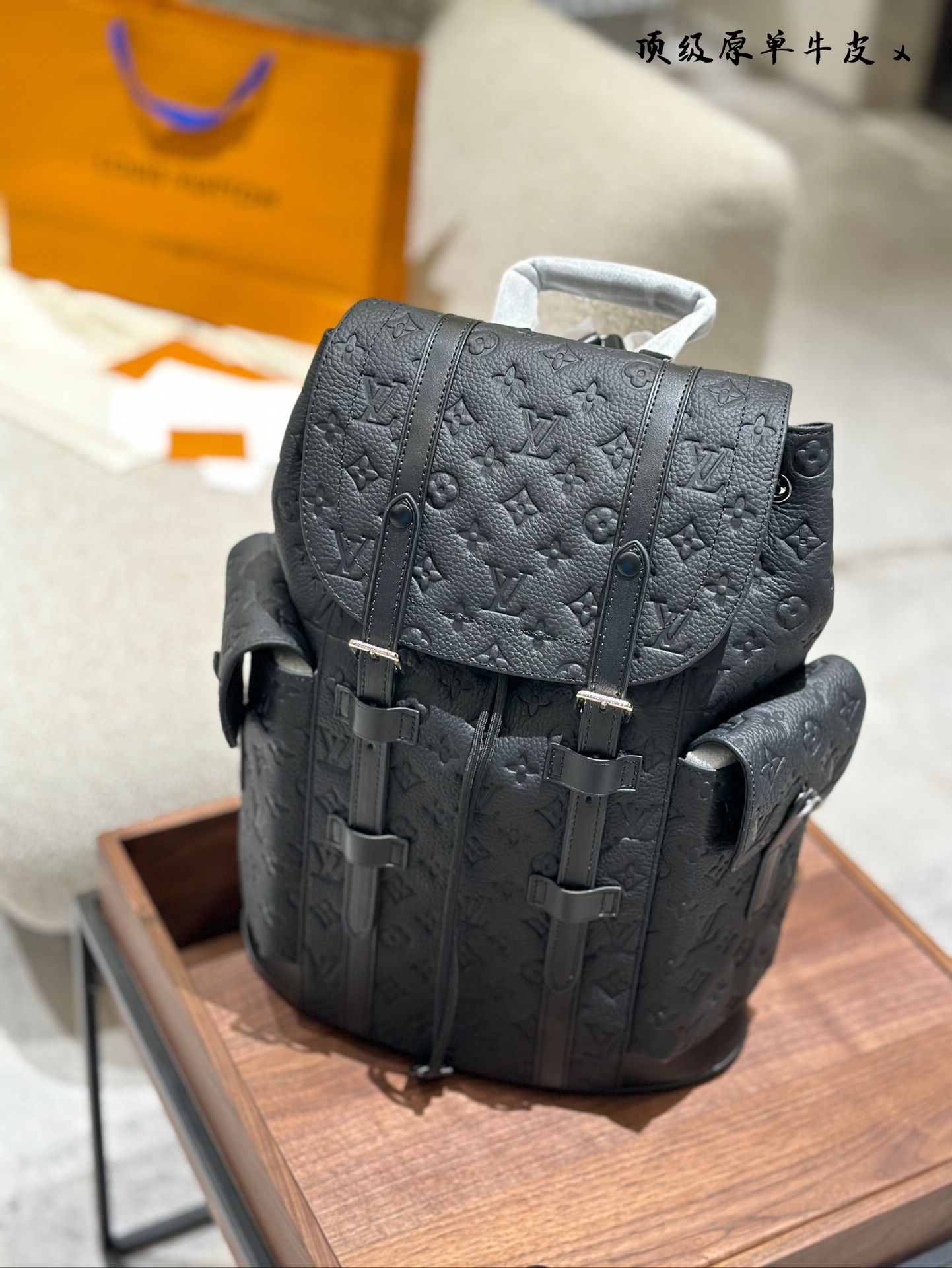 LV travel backpack