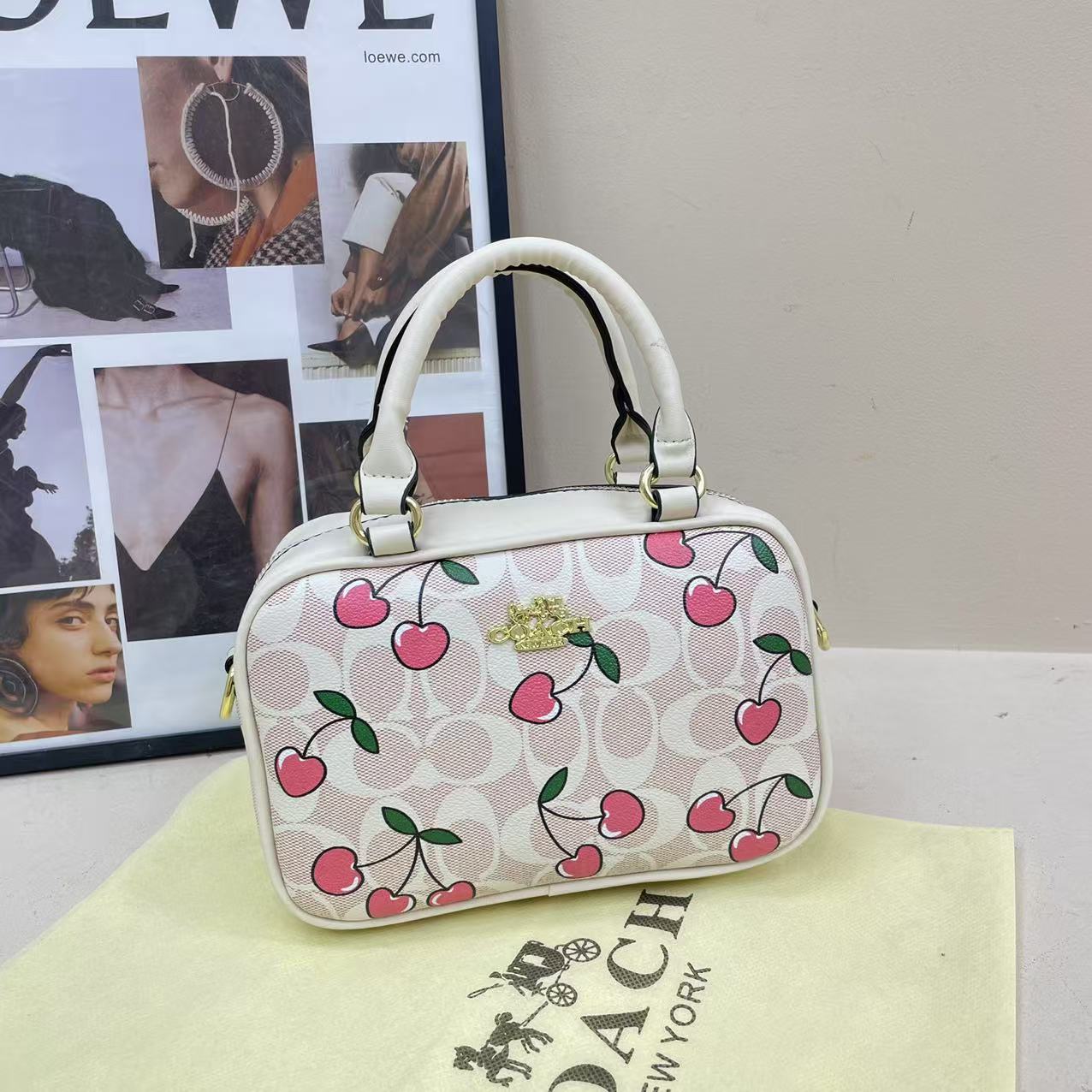 Coach handheld camera bag