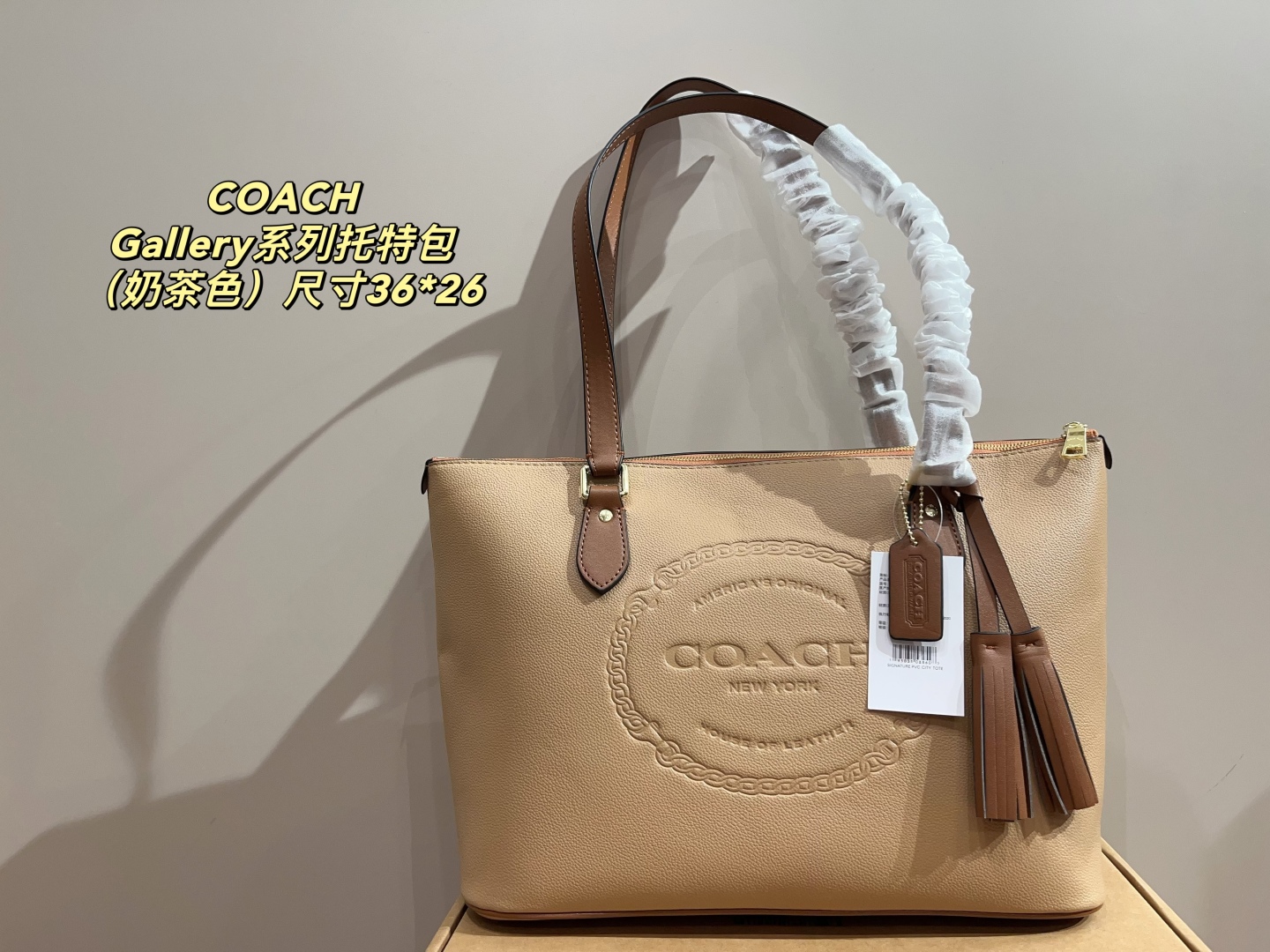 Coach Gallery Series Tote Bag