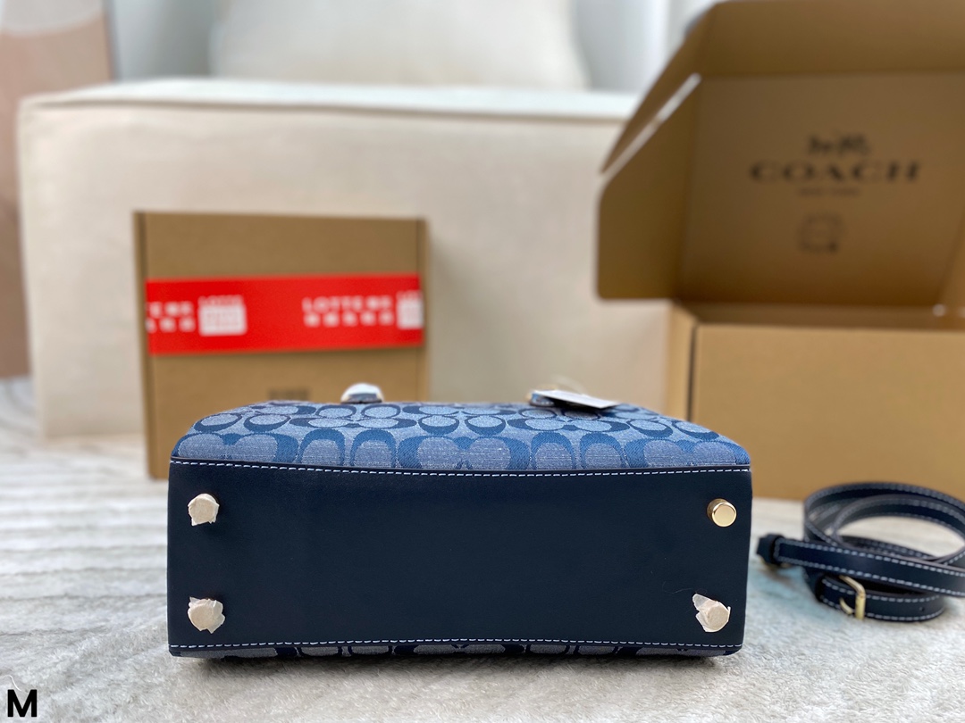 Coach Darcie handbag