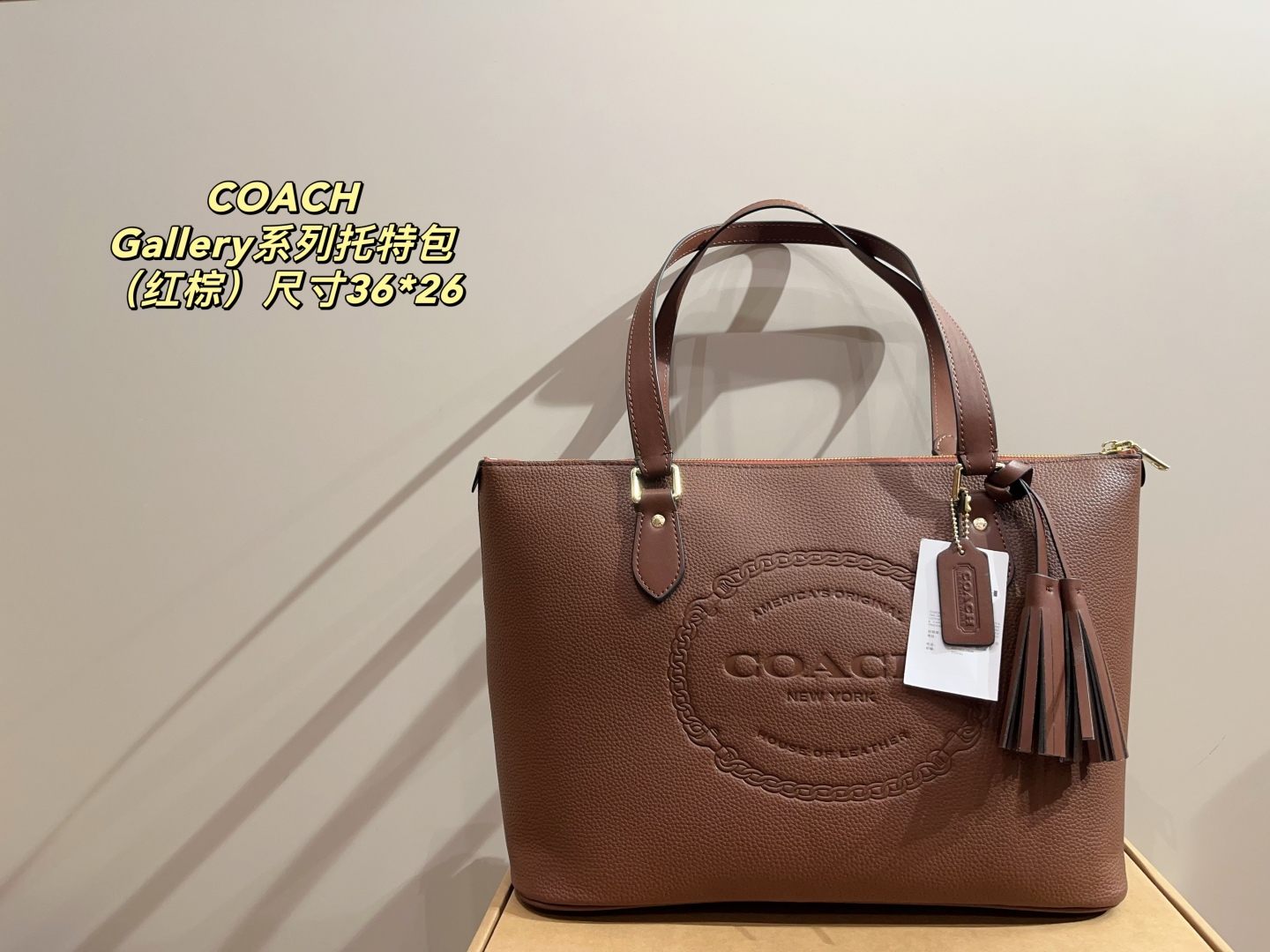 Coach Gallery Series Tote Bag
