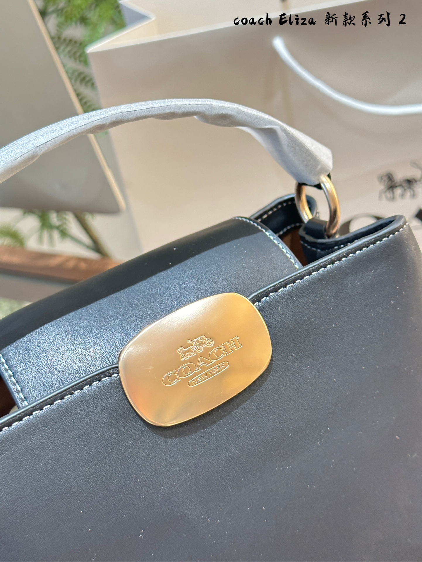 COACH Elizamini handbag