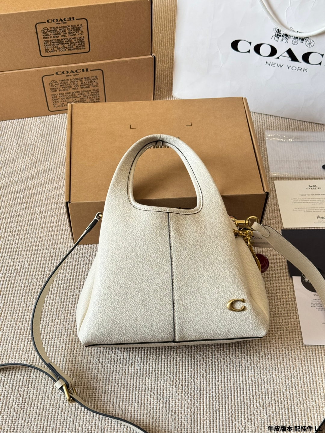 Coach Lana Commuter Shopping Basket Bag