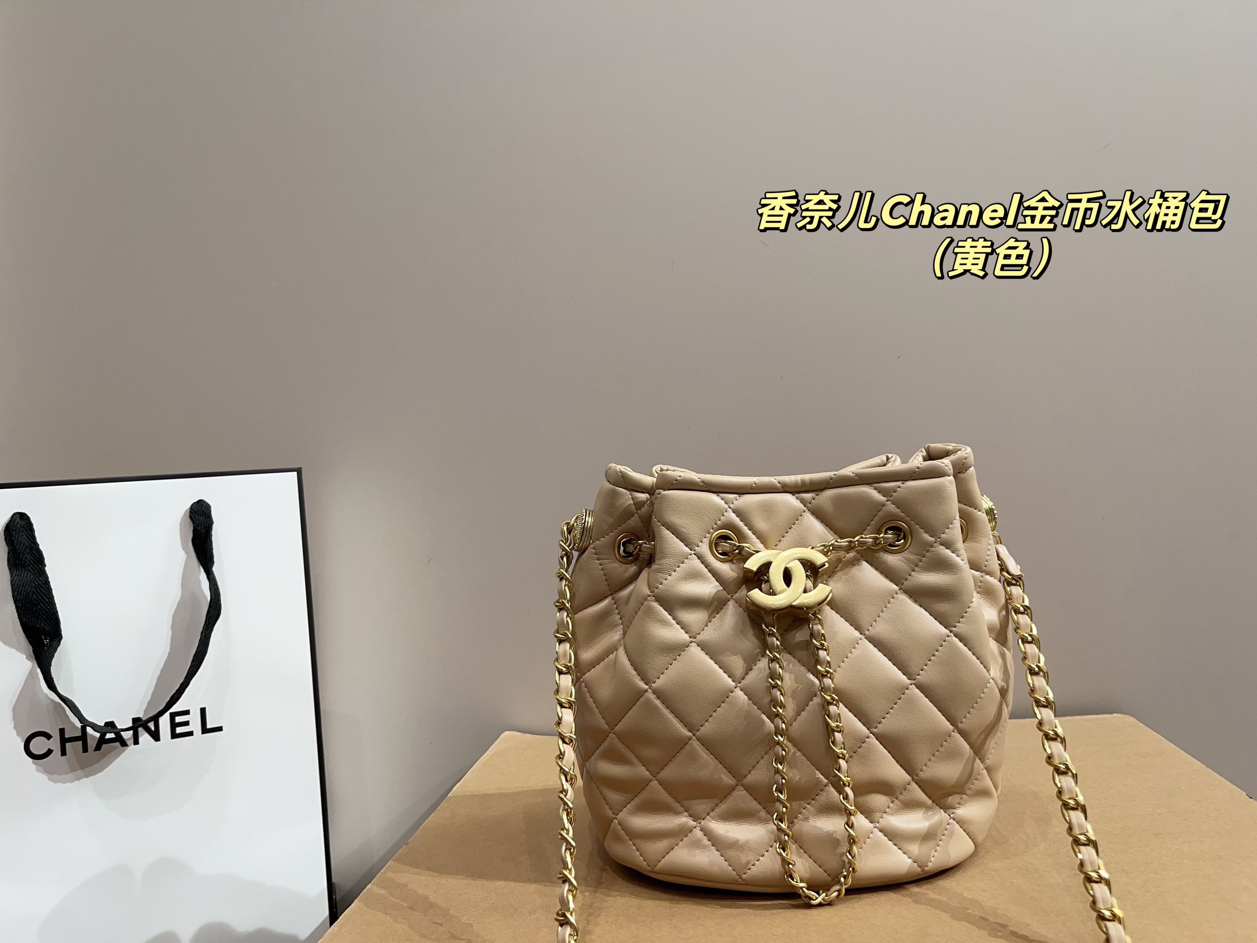Chanel gold coin bucket bag