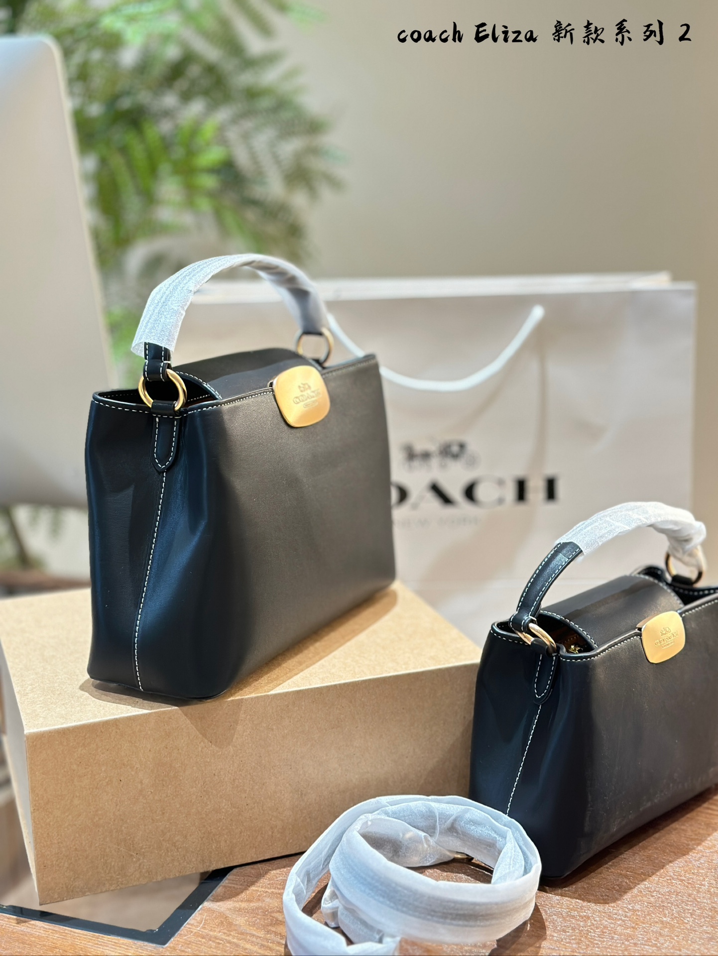 COACH Elizamini handbag