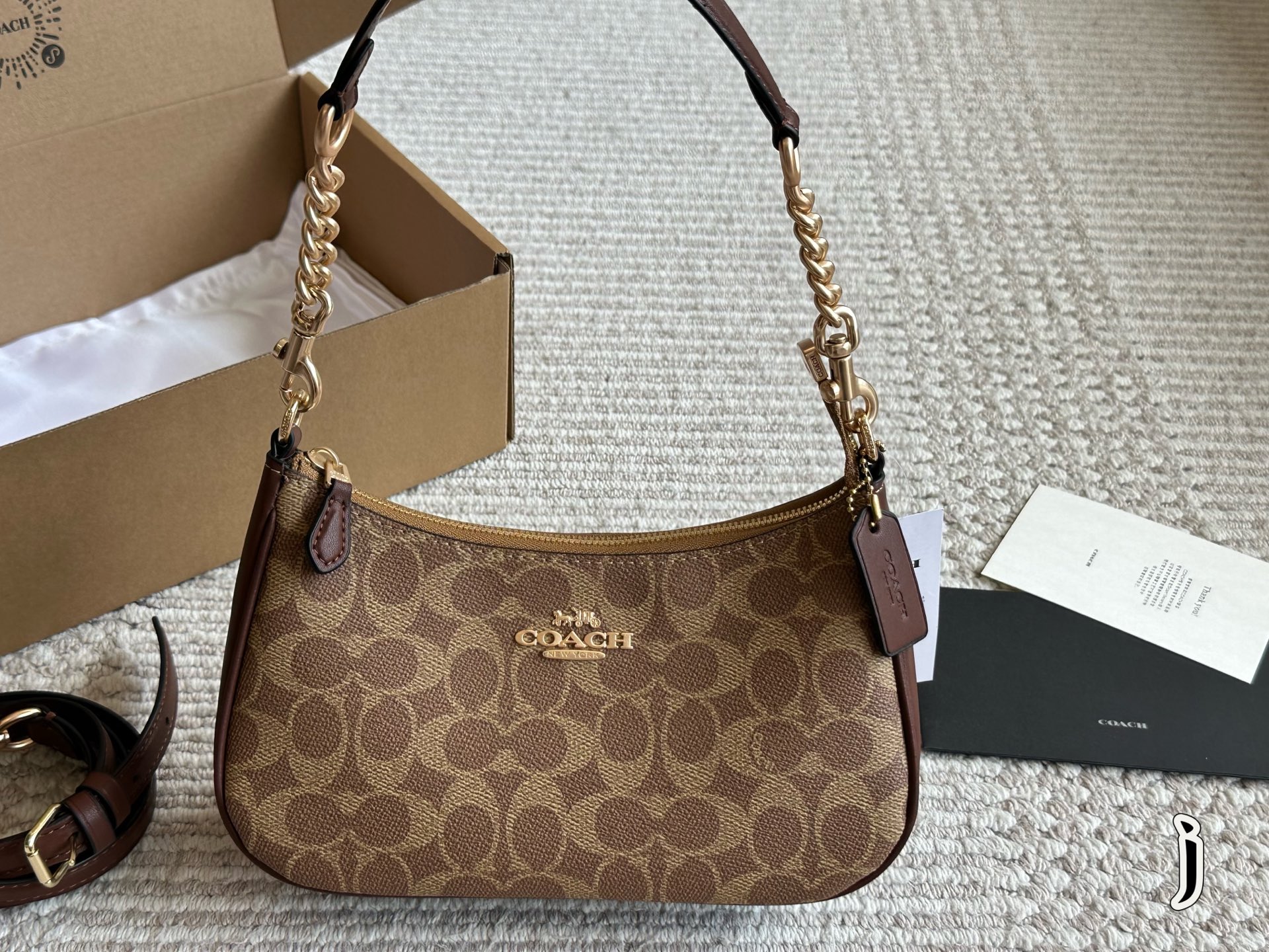 Coach Teri Underarm Bag