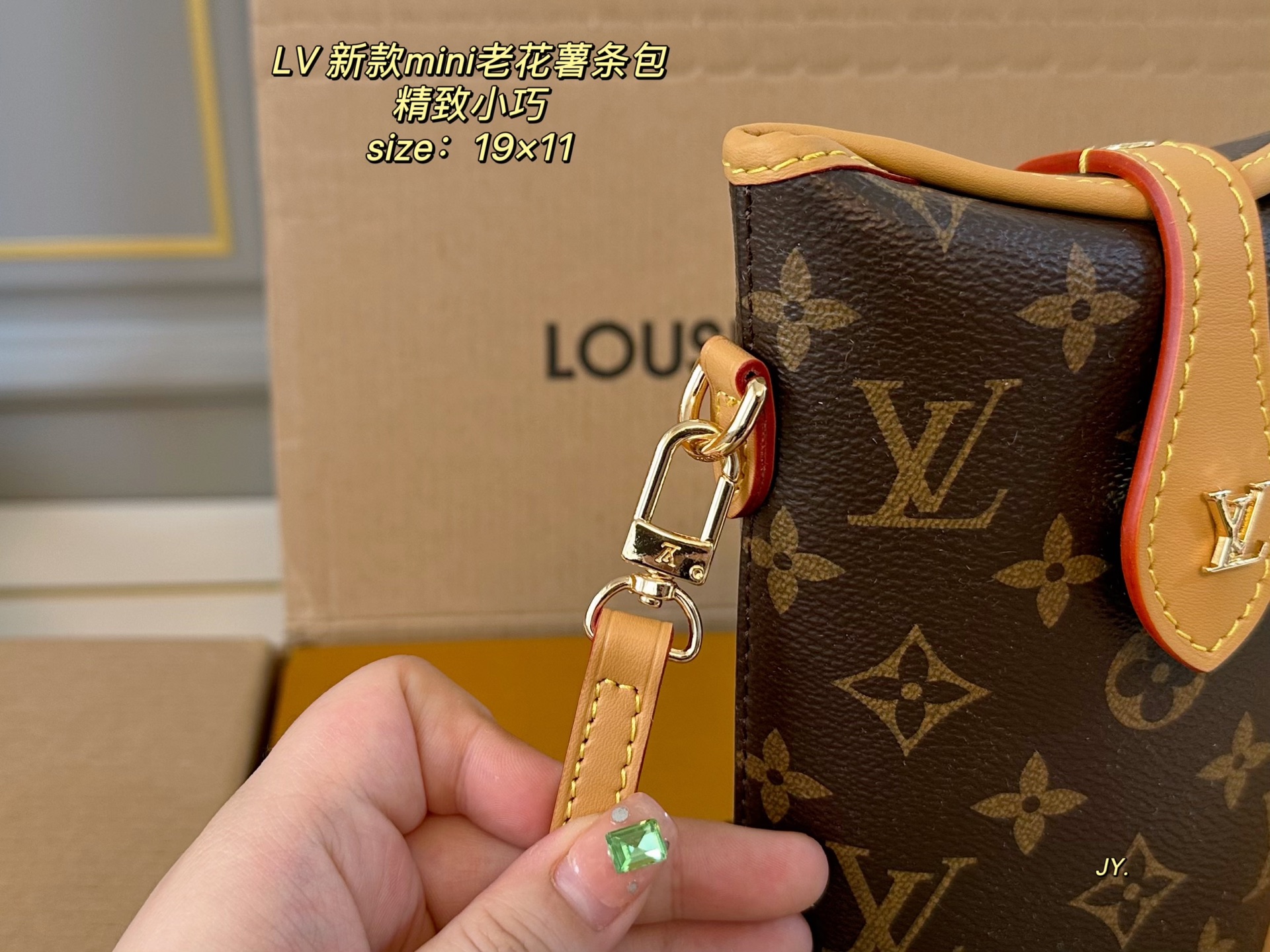 LV mini shoulder bag
