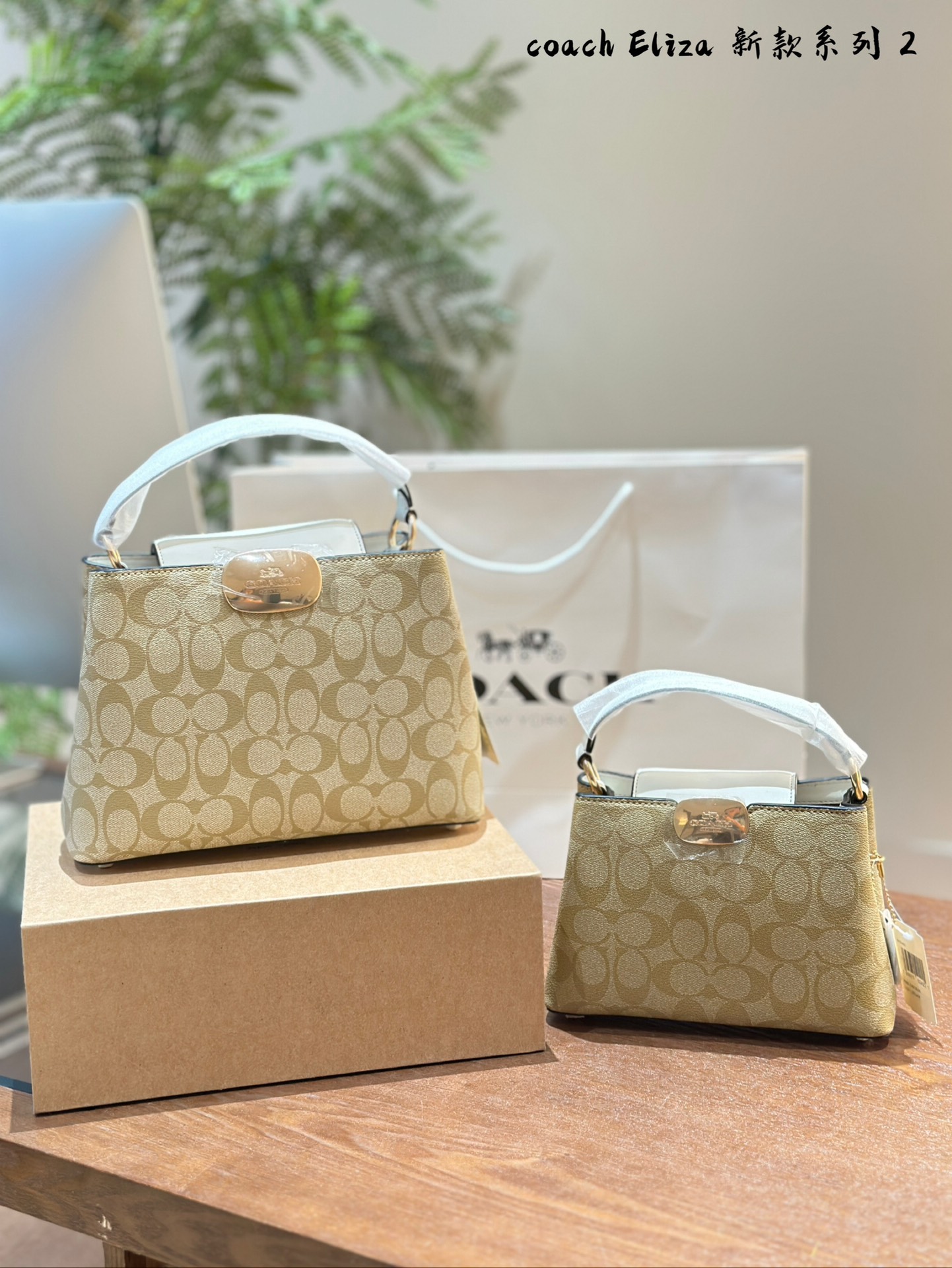 COACH Elizamini handbag