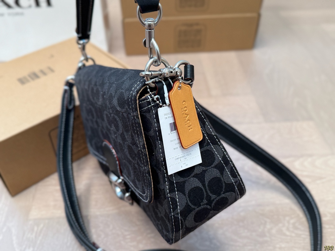 Coach Chambre underarm bag