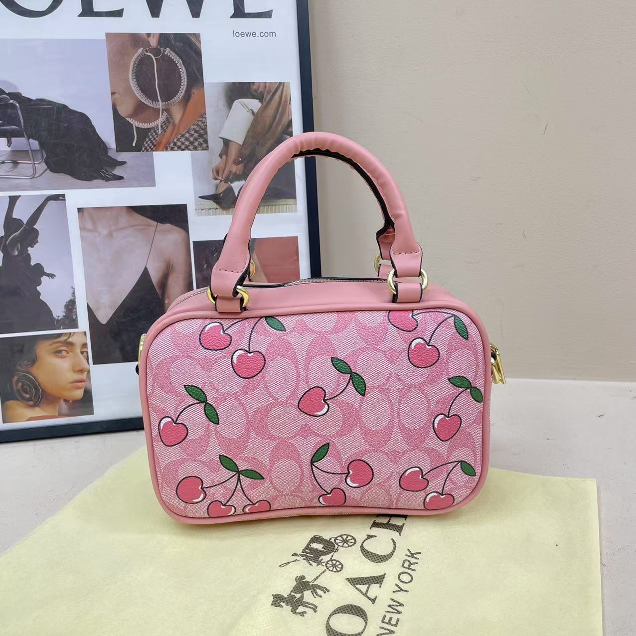 Coach handheld camera bag