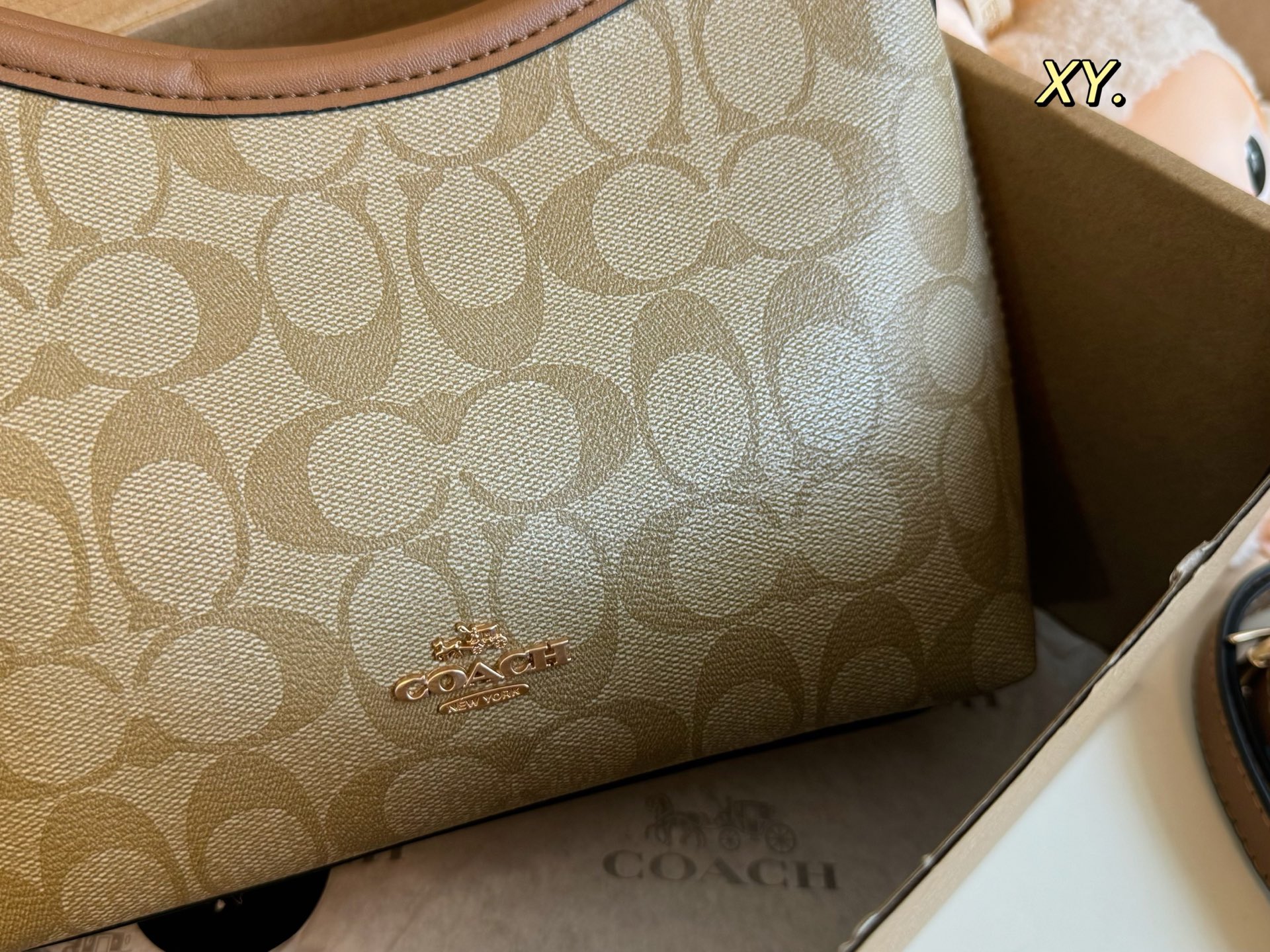 Coach mini Laurel Hobo Bag
