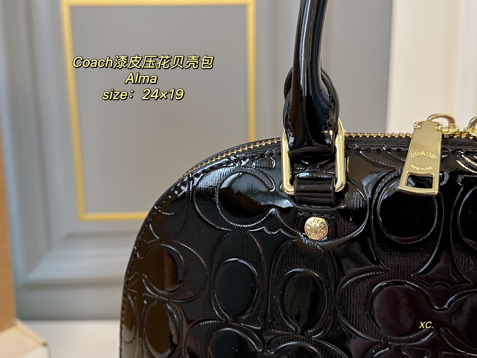Louis Vuitton's new patent leather embossed alma shell bag