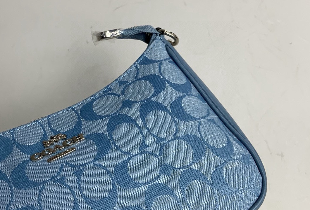 Coach underarm bag