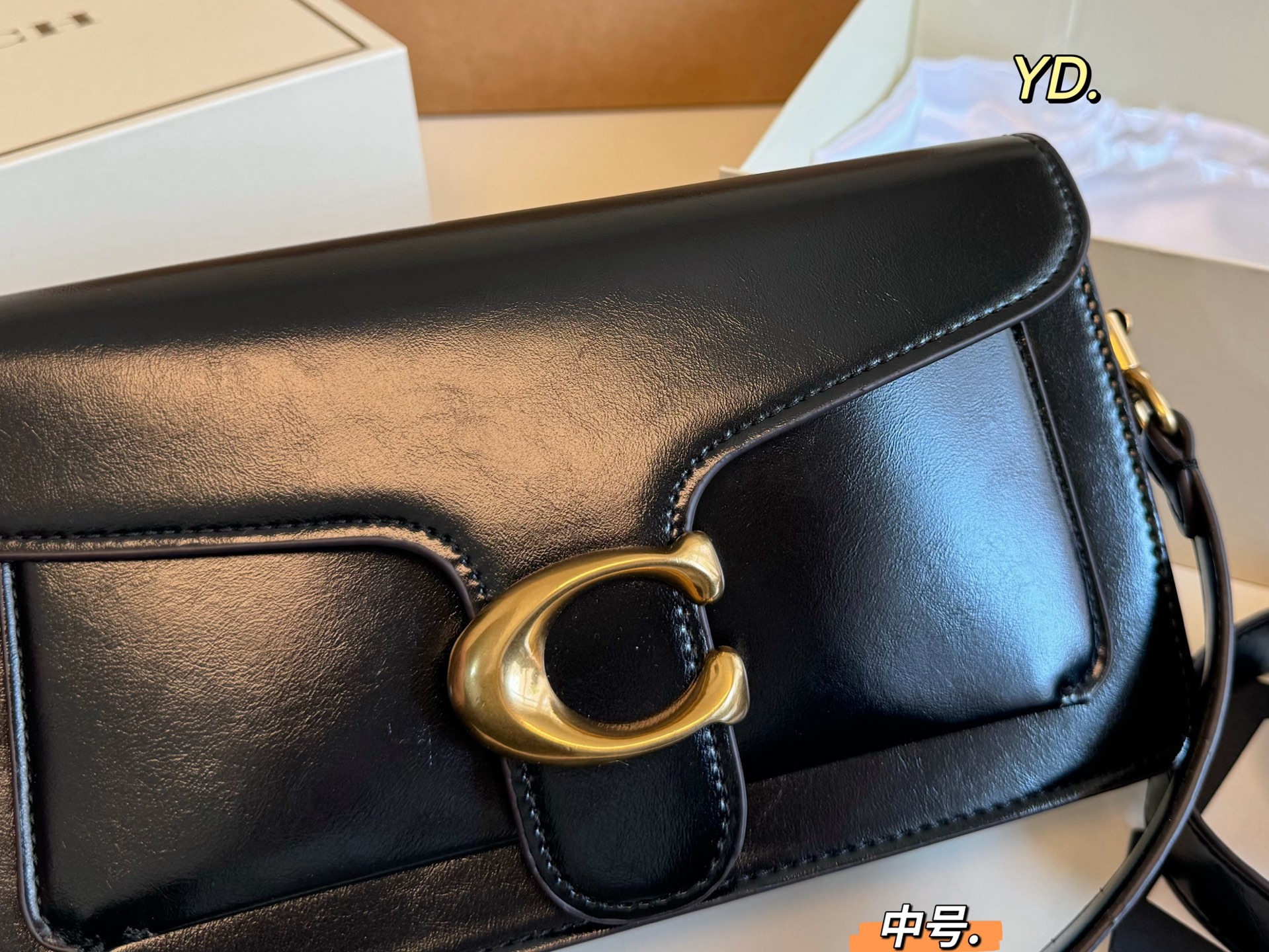 COACH Tabby Dionysus bag