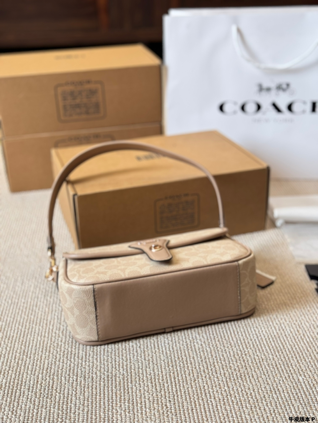 Coach Hadley underarm bag