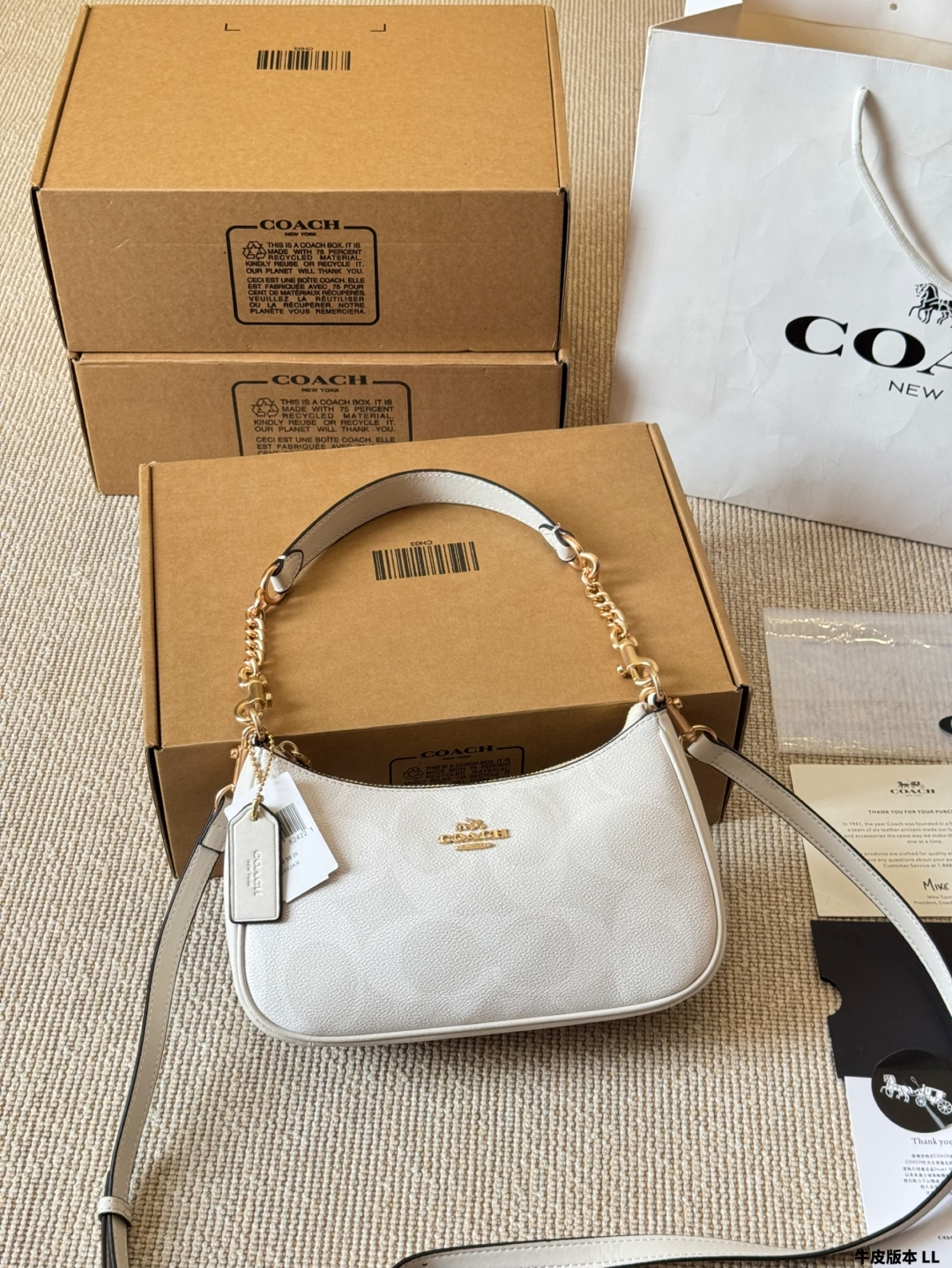 Coach Teri series armpit bag