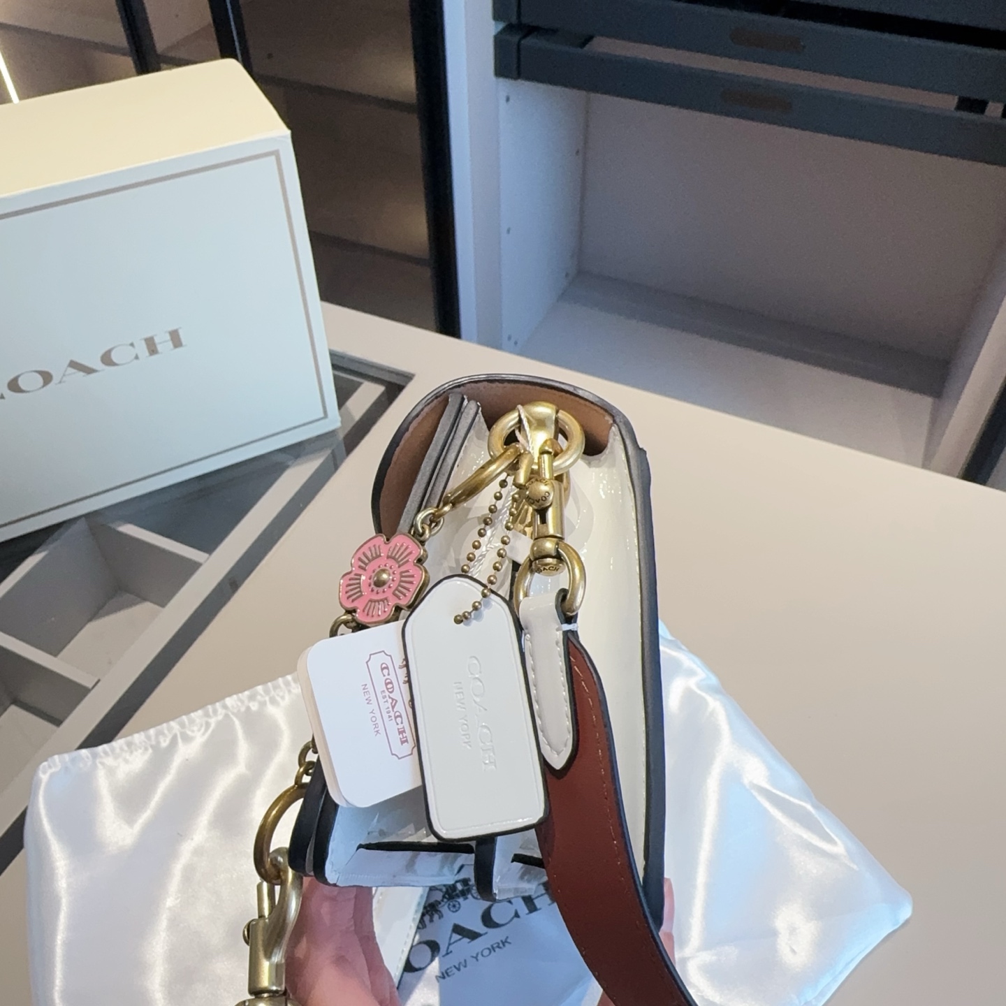 Coach's new patent leather embossed Dionysus bag tall version