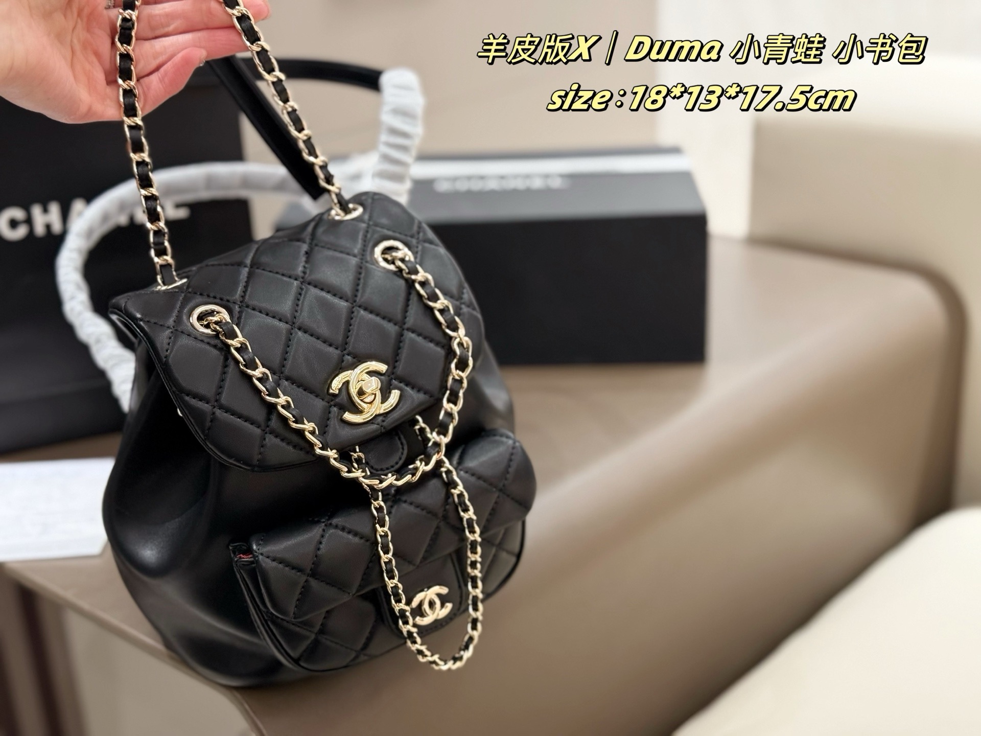 Chanel 22c duma backpack