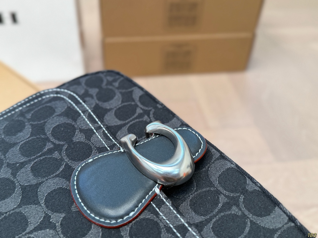 Coach Chambre underarm bag