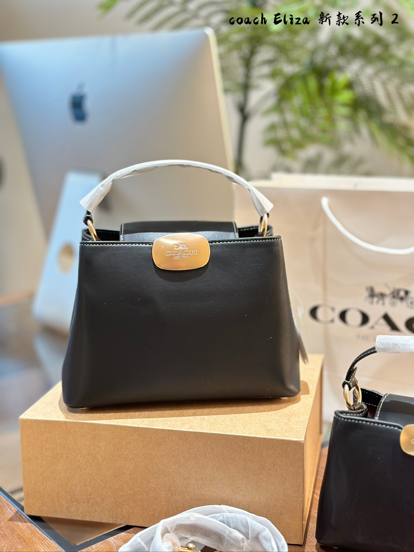 COACH Elizamini handbag