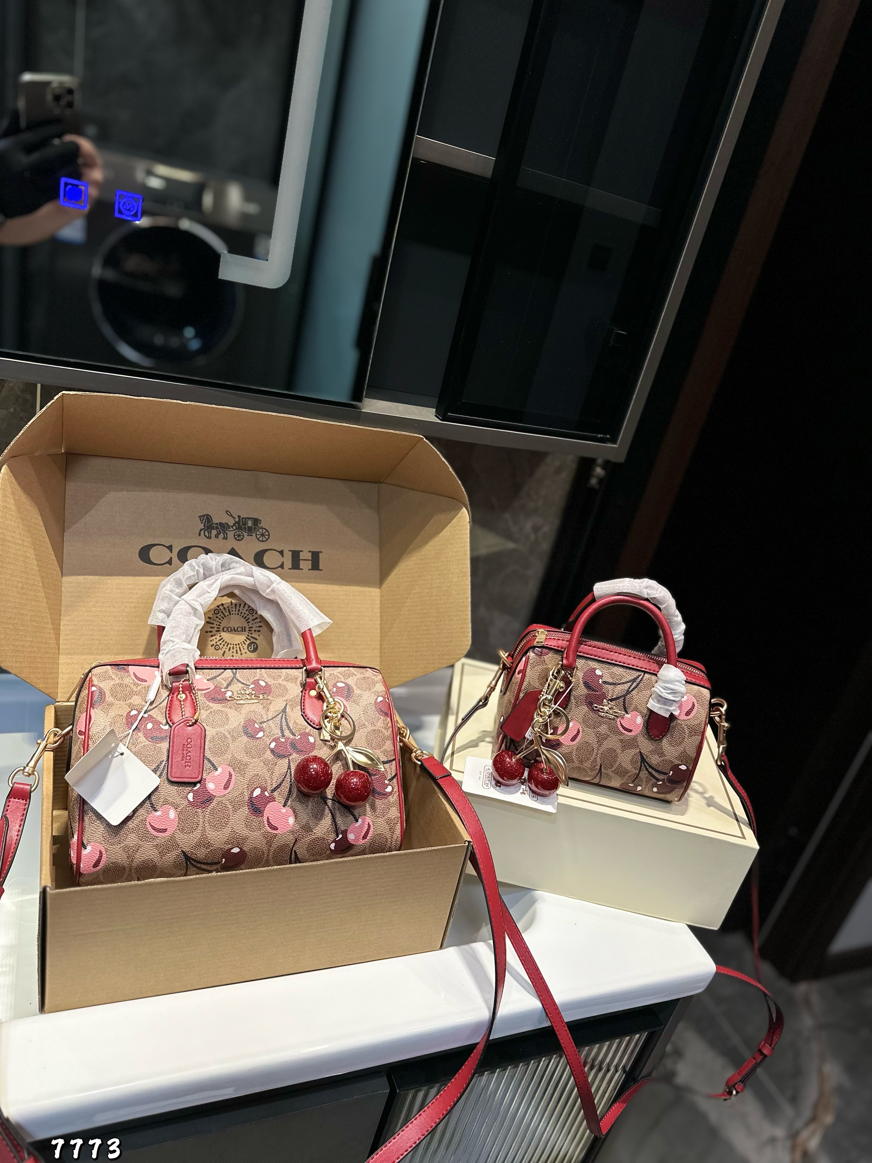 Coach Mini Boston bag