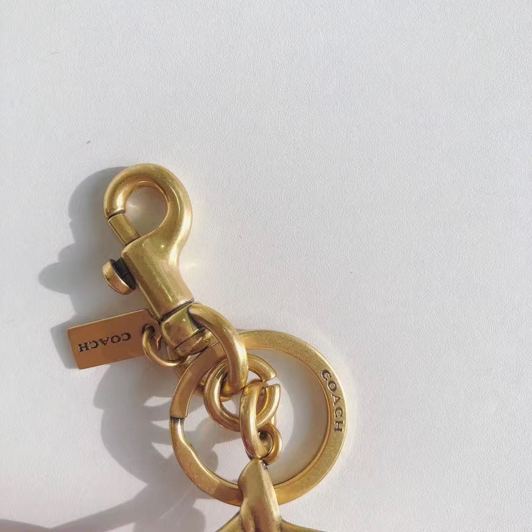 Coach cherry keychain