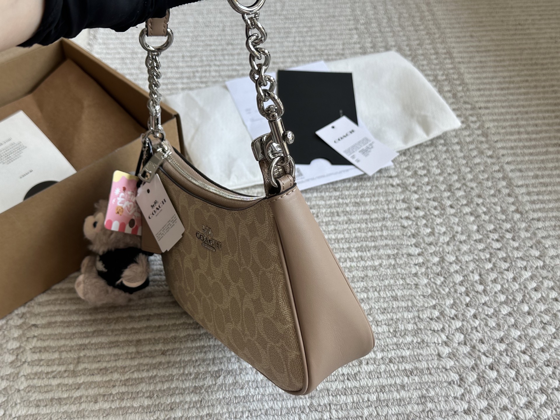 Coach Teri Underarm Bag