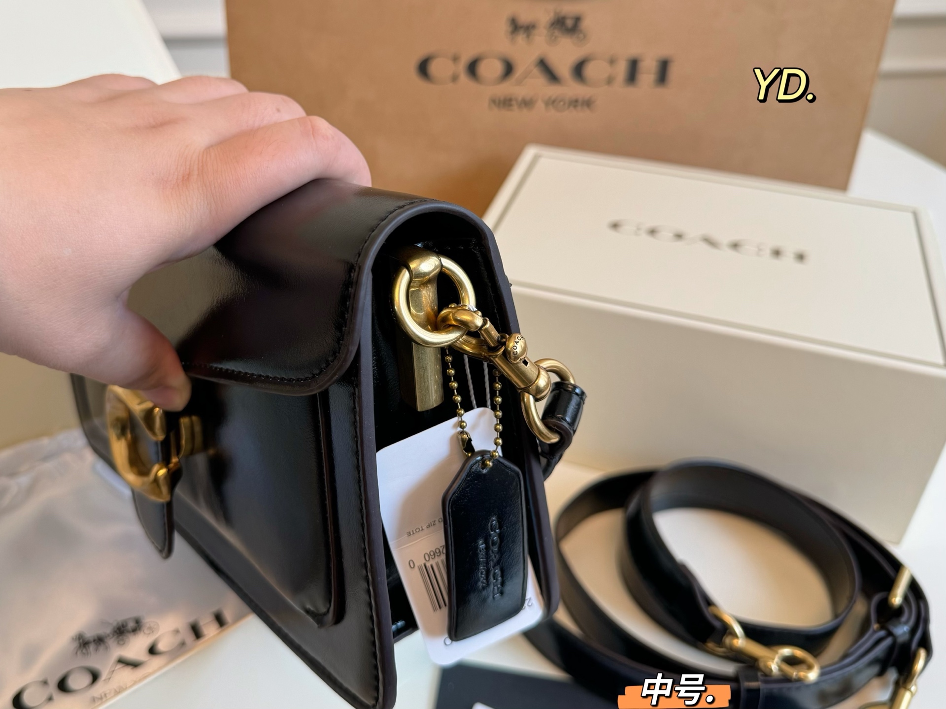 COACH Tabby Dionysus bag