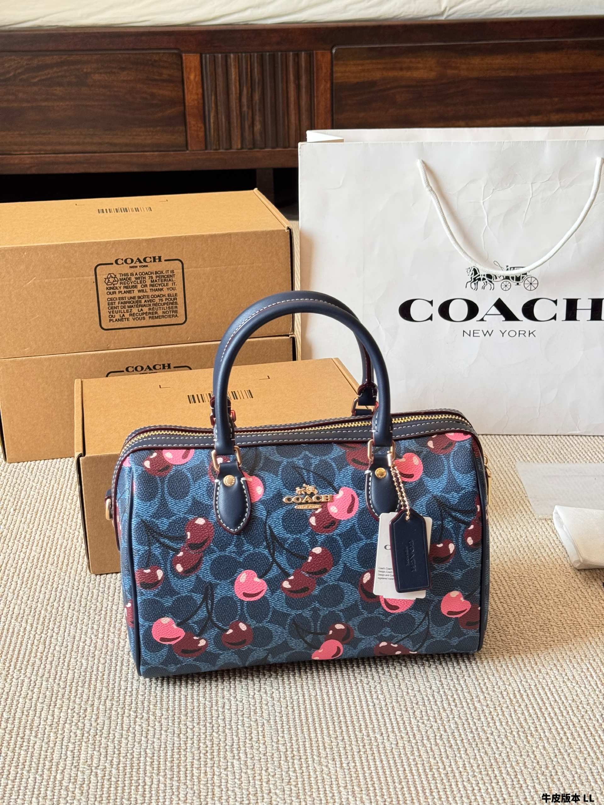 Coach miniRowan pillow bag