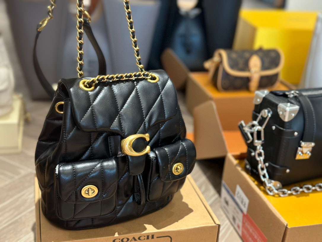 Coach versatile backpack