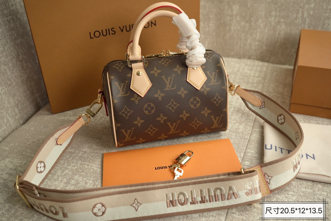 LV Speedy20 Pillow bag