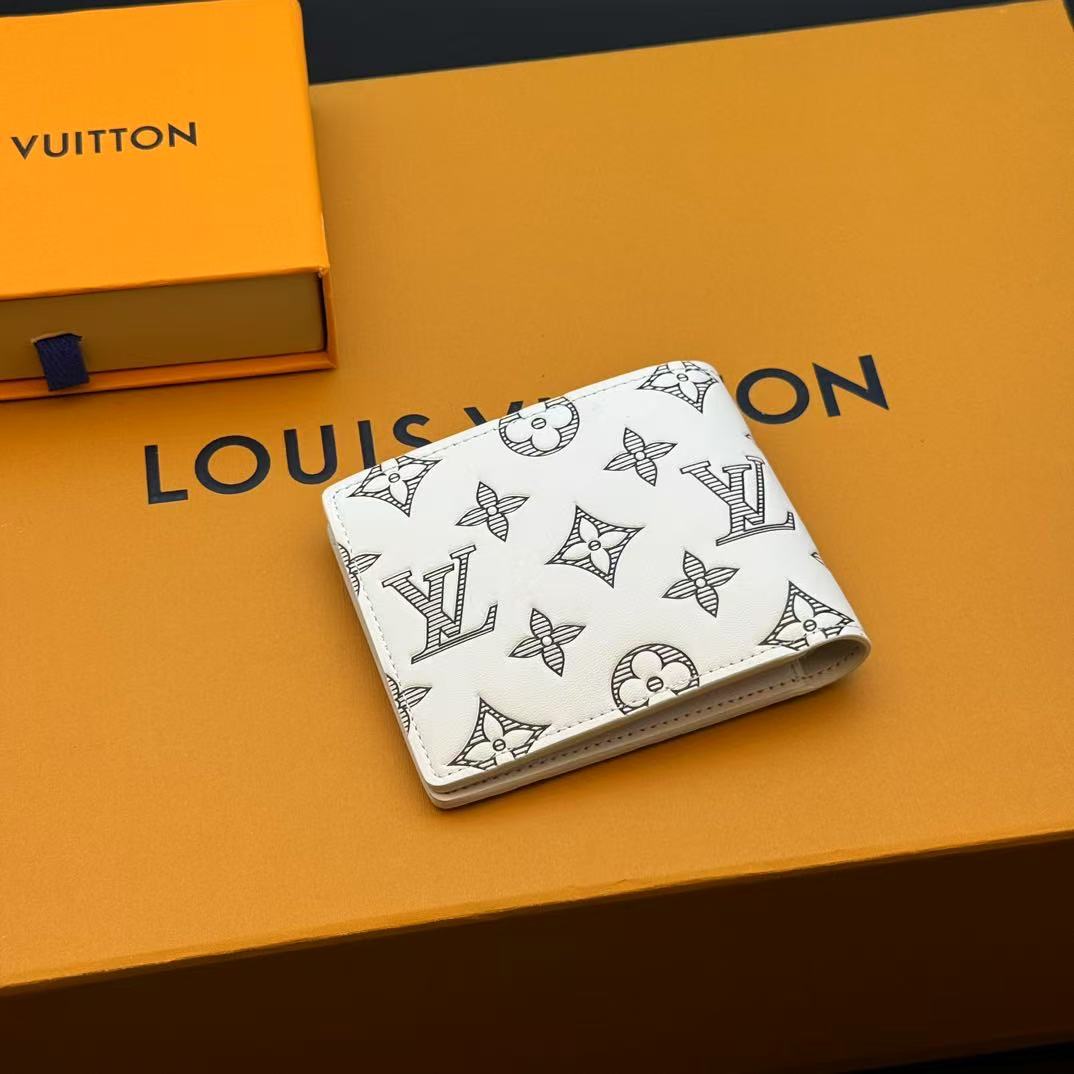 Louis Vuitton multiple wallet