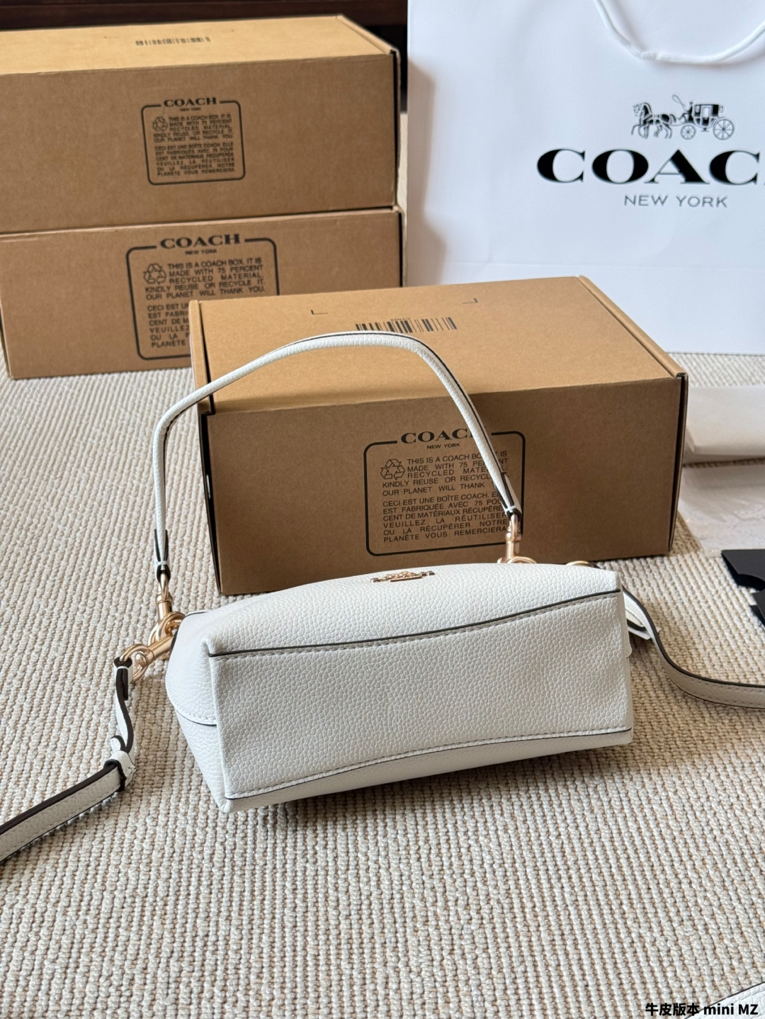 Coach's new laurel 19 hobo bag