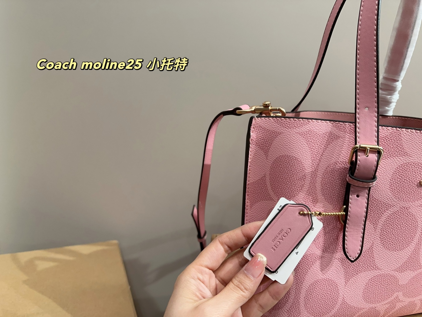 Coach moline25 small tote